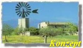  Konzept 